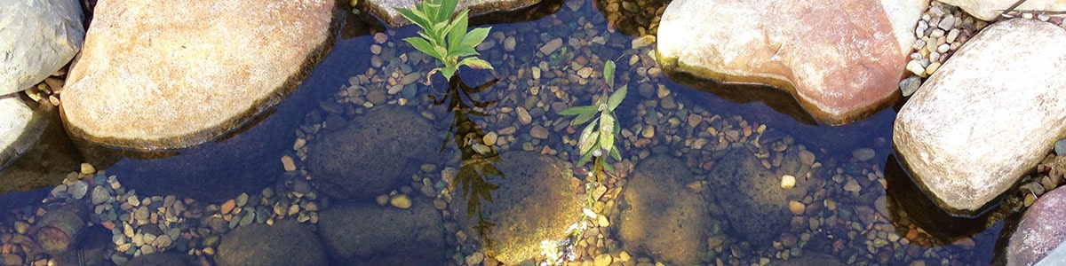 Overhead View of a Clear Pond